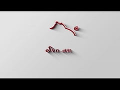 Pembersih Suede HY-353